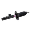 Motorcraft AST268 SHOCK ABSORBER ASY