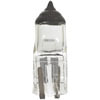 Wagner BP2040 Multi-Purpose Light Bulb Wagner Lighting BP2040 Standard Multi-Purpose Light Bulb Box of 10