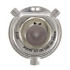 Wagner BP9003 Multi-Purpose Light Bulb Wagner Lighting BP9003 Standard Multi-Purpose Light Bulb Card of 1