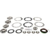 Dana Spicer 110555 Axle Differential Bearing and Seal Kit KIT BASIC