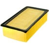 FRAM TGA9400 Engine Air Filter Air Filter