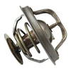 Motorcraft RT1195 Engine Coolant Thermostat THERMOSTAT ASY