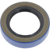 BCA NS470050 Multi-Purpose Seal Grease/Oil Multi-purpose Seal
