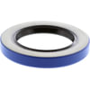 BCA NS472299 Multi-Purpose Seal Grease/Oil Multi-purpose Seal