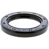 BCA NS710615 Multi-Purpose Seal Grease/Oil Multi-purpose Seal
