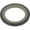 BCA NS200855 Multi-Purpose Seal Grease/Oil Multi-purpose Seal