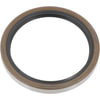 BCA NS226610 Wheel Seal Grease/Oil Wheel Seal