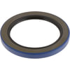 BCA NS417366 Multi-Purpose Seal Grease/Oil Multi-purpose Seal