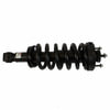 Motorcraft ASTL39 Suspension Strut and Coil Spring Assembly Suspension Strut and Coil Spring Assembly Front fits 03-08