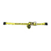 BWP-NSI M-4861 2"x30' Ratchet Strap