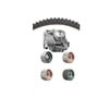 Dayco WP254K1A Engine Timing Belt Tensioner Bearing Kit Water Pump Kit