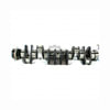 171658 by PAI - Engine Crankshaft Kit - Cummins ISX Series Application