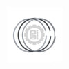 405050 by PAI - Engine Piston Ring Set - Standard Size International 7.4 / 444 Series Application