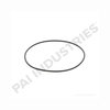 PAI 121305 Multi-Purpose O-Ring O-Ring - 0.103 in C/S x 3.987 in ID 2.62 mm C/S x 101.27 mm ID HNBR 75, Sky Blue Teflon Coat