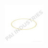 PAI 162030 Cylinder Liner Shim SHIM,LINER.032