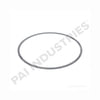 PAI EFR-8417 Flame Trap O-Ring FIRERING