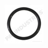 PAI EGA-3877 Multi-Purpose O-Ring O-RING