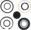Sheppard 5545481 Steering Gear Sector Shaft Seal Kit R. H. Sheppard 5545481 Sector Shaft Seal Kit with Snap Ring/L-Seal