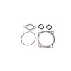 Haldex 1178KIT Engine Water Pump Gasket Kit Installation and Repair Kits, Gasket Kit for Cummins L-10 Engine Water Pump