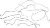 919-281 by DORMAN - Stainless Steel Brake Line Kit