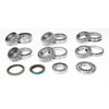SKF SDK206 Axle Differential Bearing and Seal Kit SKF SDK206 Differential Rebuild Kit