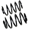 Centric 630.58019 Coil Spring Premium Coil Spring Set