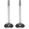 Mahle 211-2182 Engine Intake Valve Engine Intake Valve