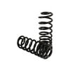 Arnott Industries C-2138 Air Spring to Coil Spring Conversion Kit Arnott Rear Coil Spring Conversion Kit