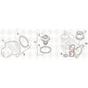 PAI 131289 Multi-Purpose Seal SEAL