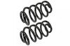 Mevotech SMS6101 Coil Spring Set Coil Spring Set
