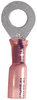 Phillips Industries 1-1920 Ring Terminal Ring Terminal - 22-18 ga., Red, 1/4" Stud, 25 Pieces, Heat Required