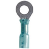 Phillips Industries 1-1924 Female Disconnect Terminal Ring Terminal - 16-14 ga., Blue, 1/4" Stud, 25 Pieces, Heat Required