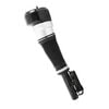 Unity Mfg. Co. 28113400 Air Suspension Strut Electronic Air Strut Asse