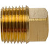 Dorman 785-073 Pipe Plug Pipe Plug-Square Head-1/2 In. MNPT