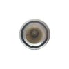 25081668 by MACK - Engine Air Filter