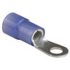 Tectran THB50 Ring Terminal Terminal Blue6 Ga.Ring