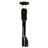 FCS Struts 1332310 Suspension Strut and Coil Spring Assembly Suspension Strut and Coil Spring Assembly