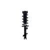 1333356L by FCS STRUTS - Suspension Strut and Coil Spring Assembly