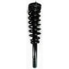 1335790 by FCS STRUTS - Suspension Strut and Coil Spring Assembly