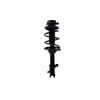 FCS Struts 1333923L Suspension Strut and Coil Spring Assembly Suspension Strut and Coil Spring Assembly