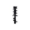 FCS Struts 1333951R Suspension Strut and Coil Spring Assembly Suspension Strut and Coil Spring Assembly
