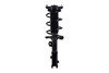 FCS Struts 1334051R Suspension Strut and Coil Spring Assembly Suspension Strut and Coil Spring Assembly