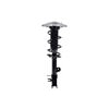 1334079L by FCS STRUTS - Suspension Strut and Coil Spring Assembly