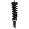 FCS Struts 1345565L Suspension Strut and Coil Spring Assembly Suspension Strut and Coil Spring Assembly