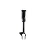 FCS Struts 1345906L Suspension Strut and Coil Spring Assembly Suspension Strut and Coil Spring Assembly