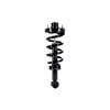 1355062 by FCS STRUTS - Suspension Strut and Coil Spring Assembly