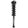 FCS Struts 1336348 Suspension Strut and Coil Spring Assembly Suspension Strut and Coil Spring Assembly