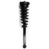 1345399 by FCS STRUTS - Suspension Strut and Coil Spring Assembly