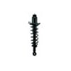 FCS Struts 1345409R Suspension Strut and Coil Spring Assembly Suspension Strut and Coil Spring Assembly
