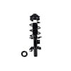FCS Struts 2335908L Suspension Strut and Coil Spring Assembly Suspension Strut and Coil Spring Assembly